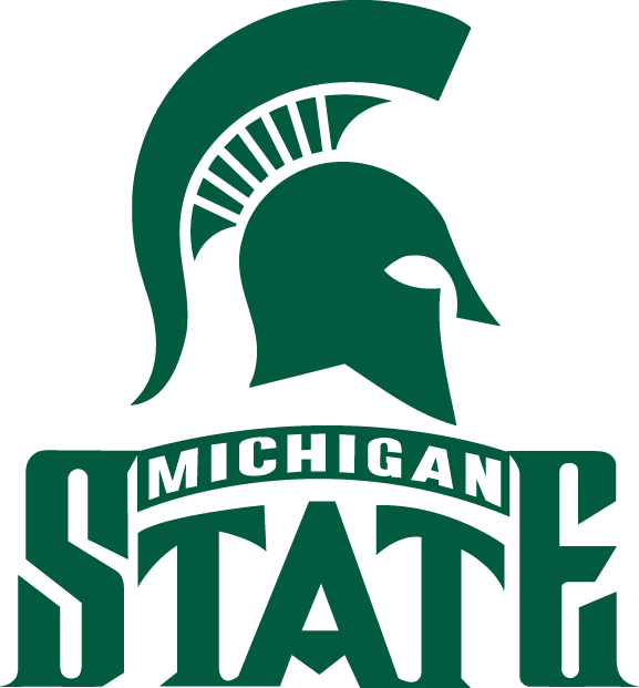Michigan State Spartans 1987-Pres Alternate Logo iron on transfers for fabric